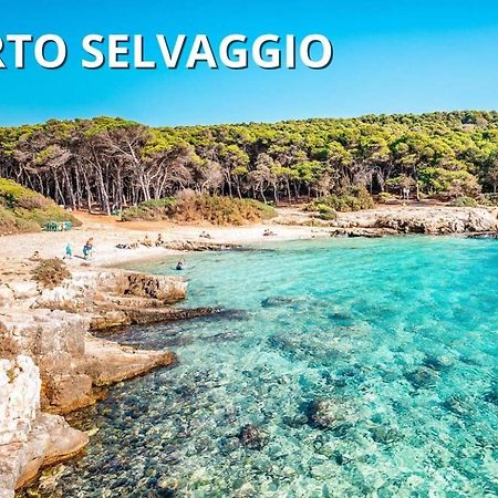 Casa Smeraldo Mare A Sud Di Porto Cesareo Torre Inserraglio Ngoại thất bức ảnh